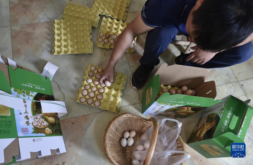 棋棋俱乐部棋乐