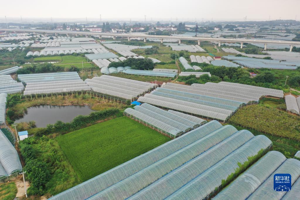 澳门百老汇4001网址